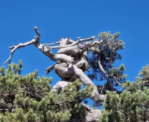 Konfliktfähigkeit & Yoga | Ganzheitliches 5-Tage-Retreat 2025 auf Zypern