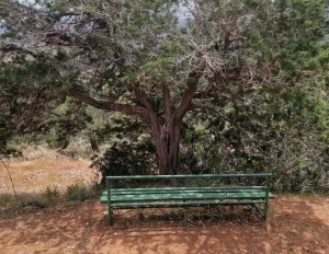 Konfliktfähigkeit & Yoga | Ganzheitliches 5-Tage-Retreat 2025 auf Zypern